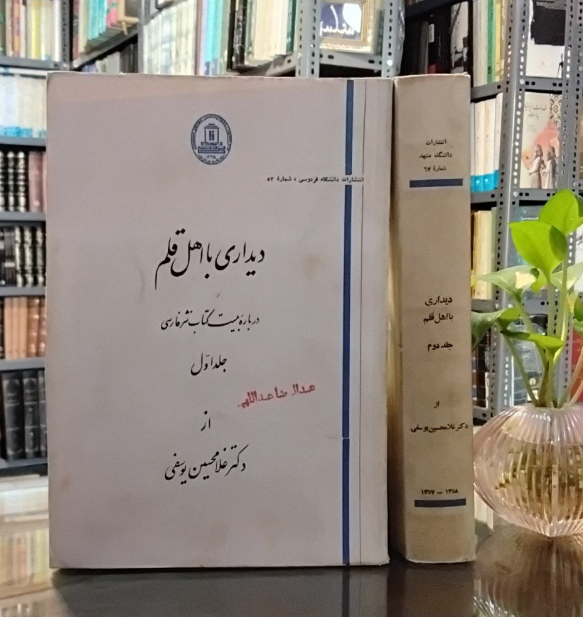 6023643993322753393 دیداری با اهل قلم درباره بیست کتاب نثر فارسی ۲جلد
